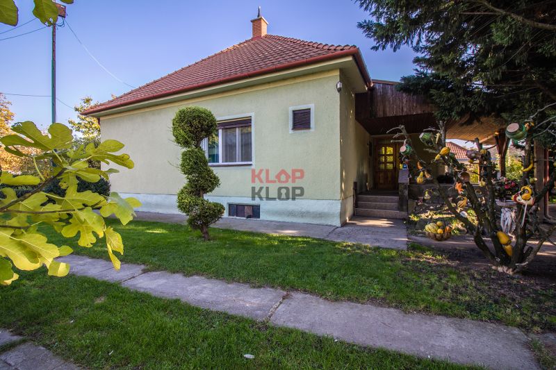 Kúpte si 2 RD na ROZSIAHLOM POZEMKU (4196 m²) s garážou a halou