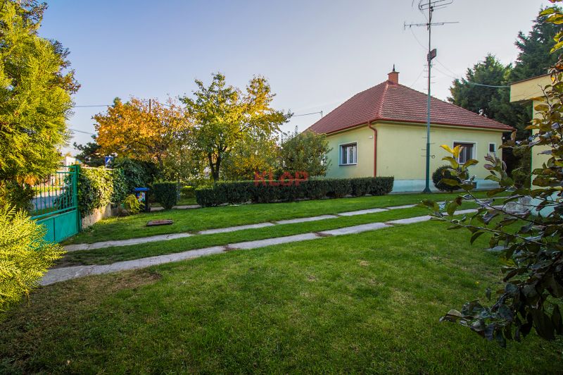 Kúpte si 2 RD na ROZSIAHLOM POZEMKU (4196 m²) s garážou a halou