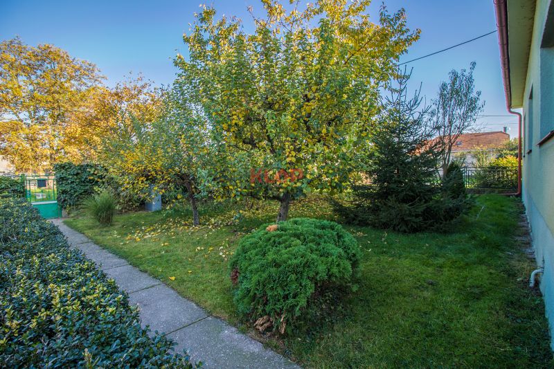 Kúpte si 2 RD na ROZSIAHLOM POZEMKU (4196 m²) s garážou a halou